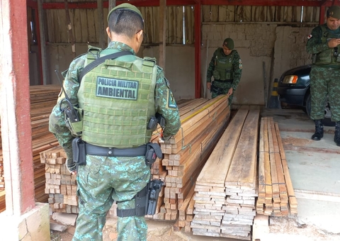 Polícia apreende 45 metros cúbicos de madeira em depósito irregular em Manaus