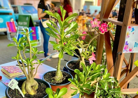 1ª Feira Pé de Tucumã em Manaus terá produtos de Economia Criativa