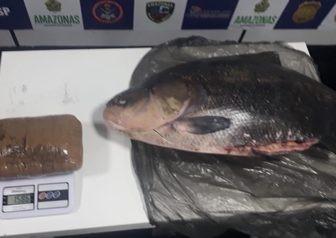 Tambaqui recheado com 1,5 kg de cocaína é apreendido no Amazonas 