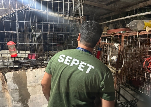 Mais de 20 animais são resgatados de canil clandestino no Jorge Teixeira