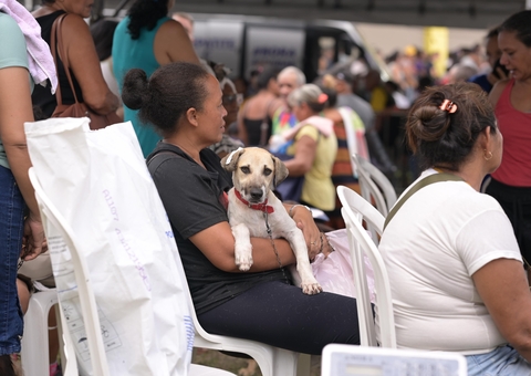 Secretaria abre agendamento para castração de cães e gatos no bairro Alvorada