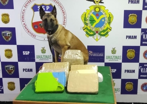 Drogas avaliadas em R$ 140 mil são apreendidas em lixeira de embarcação no Amazonas