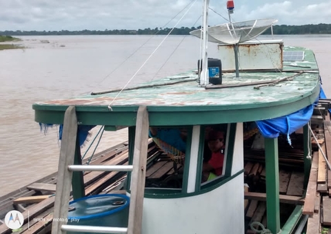 Homem é detido com cinco metros cúbicos de madeira ilegal no Amazonas 