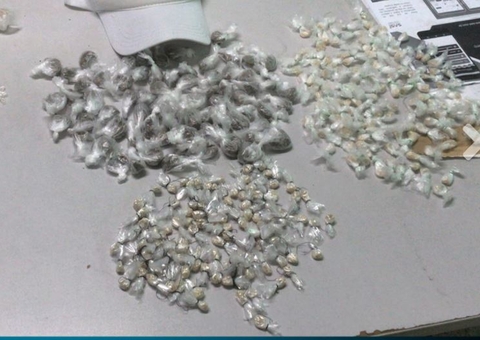 Polícia apreende mais de 350 trouxinhas de drogas escondidas em feira em Manaus