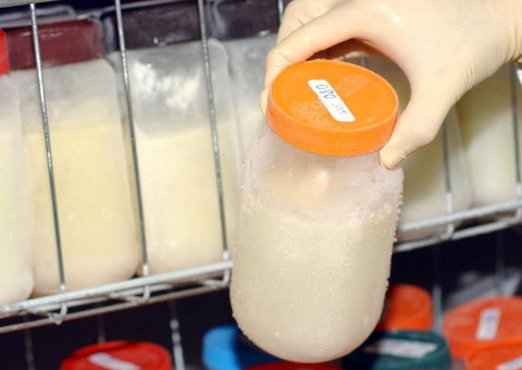 Doação de leite humano só atende metade da demanda no Brasil