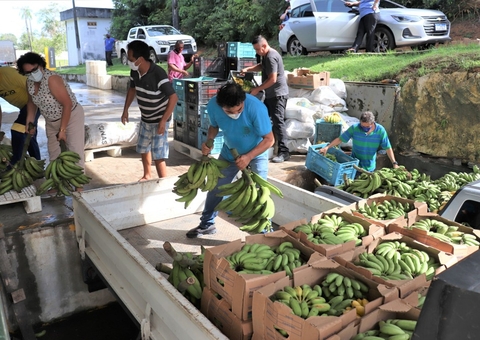 Mesa Brasil Sesc distribui mais de 800 toneladas de alimentos no Amazonas