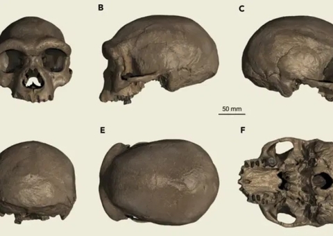 Cientistas descobrem na China novo hominínio, o 'Homem Dragão'