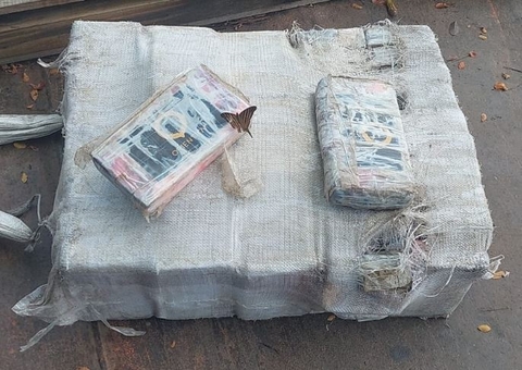 PM faz varredura em área de mata e encontra R$ 4,5 milhões em maconha no Amazonas