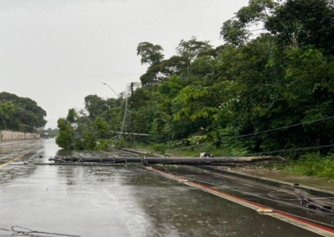 Árvore cai sobre fiação durante temporal e arranca poste na Ponta Negra