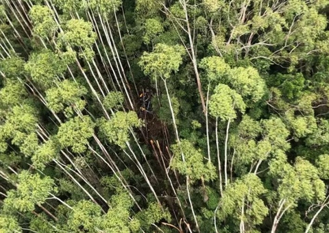 Helicóptero que desapareceu com quatro pessoas em SP é encontrado após 12 dias 