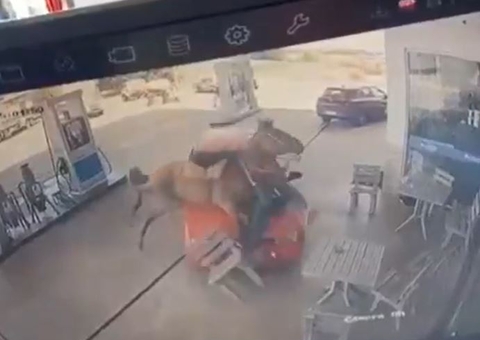 Vídeo: Motorista atropela cavalo e ataca homem a terçadadas em posto