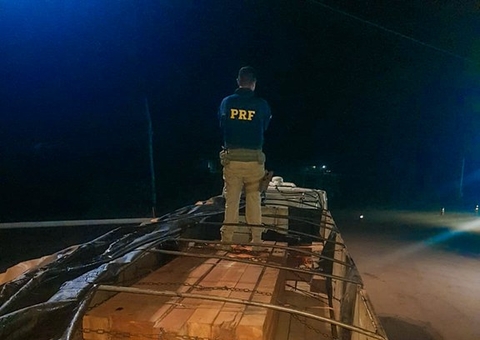 PRF apreende caminhão carregado com madeira ilegal na BR-319