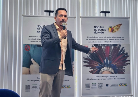 Ibama lança campanha contra uso de penas de aves no Festival de Parintins