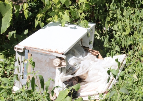 Homem achado morto dentro de geladeira no Distrito Industrial é identificado