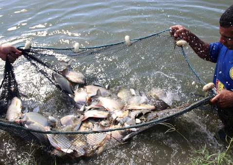 Nilton Lins e Inpa abrem inscrições para programa de pós-graduação em Aquicultura; veja