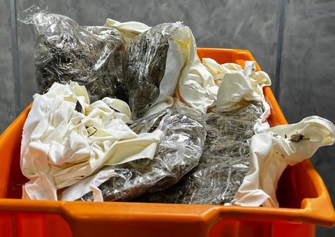 Cães farejadores encontram passageira com drogas presas ao corpo no Aeroporto de Manaus