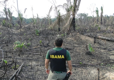 Amazonas reduz em 55% alertas de áreas desmatadas, dizem bombeiros