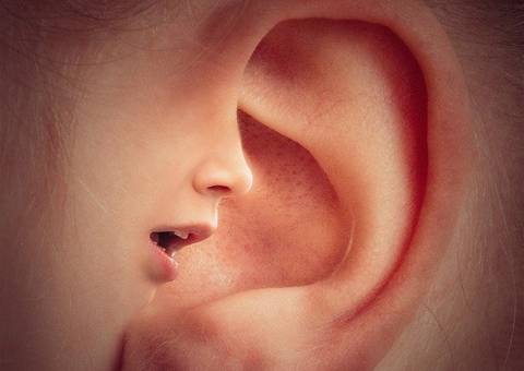 Perda auditiva gera aposentadoria por invalidez, julga Tribunal do Amazonas