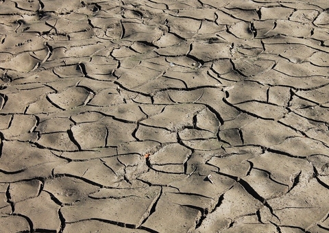 ONU prevê que seca será motivo da próxima pandemia
