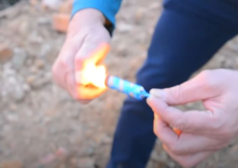 Estudante é apreendido após jogar catolé na sala de professores em Manaus