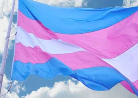 Pessoa trans tem direito de cumprir pena na unidade de detenção de sua escolha, fixa STJ