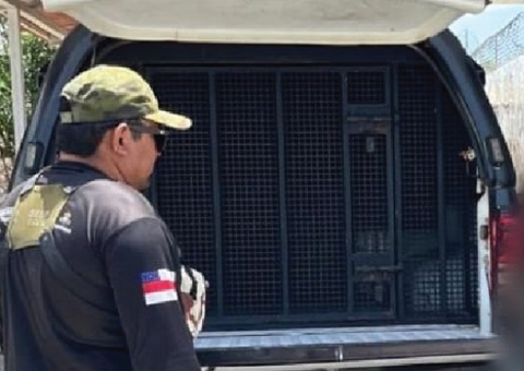 Homem é preso por furtar e espancar cachorro até a morte em Nhamundá