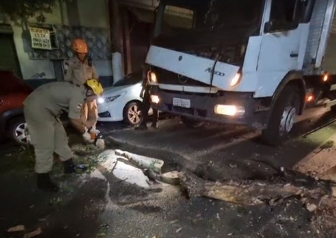 Árvore desaba sobre caminhão em movimento no centro de Manaus