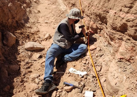 Fósseis de dinossauros são achados durante construção em rodovia de SP