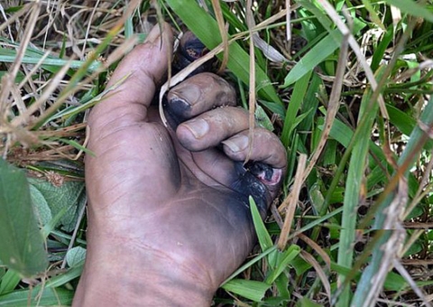 Homem morre ao levar choque elétrico em comunidade ribeirinha em Manaus