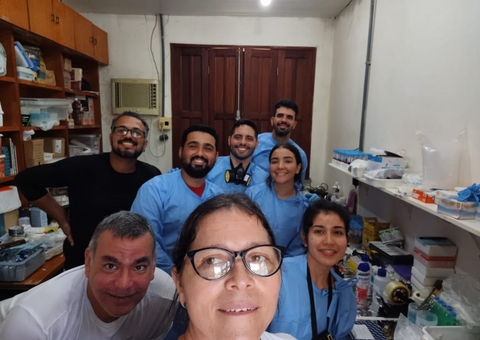 Pesquisa estuda impactos na transmissão de Doença de Chagas no Amazonas