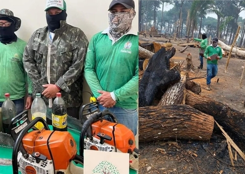 Dupla é flagrada derrubando castanheiras em ocupação de terra no Amazonas
