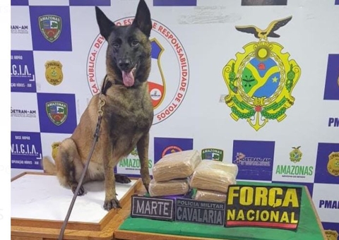 Drogas avaliadas em mais de R$ 165 mil são apreendidas em barco no Amazonas