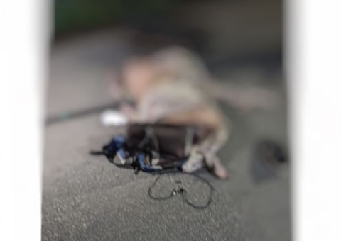 Homem é esquartejado e abandonado sem cabeça ao lado de bilhete em Manaus