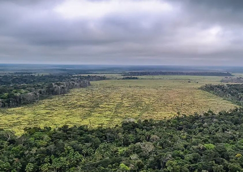 Destruição de florestas na Amazônia bate recorde mensal em setembro