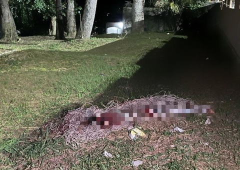 Criminosos esmagam cabeça de homem com bloco de concreto em Manaus e deixam bilhete