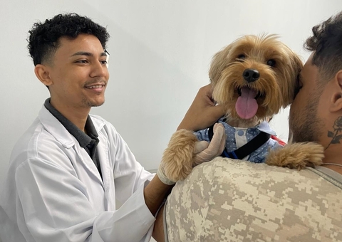 Cães e gatos contraem dengue? Veterinária esclarece dúvidas e faz alerta