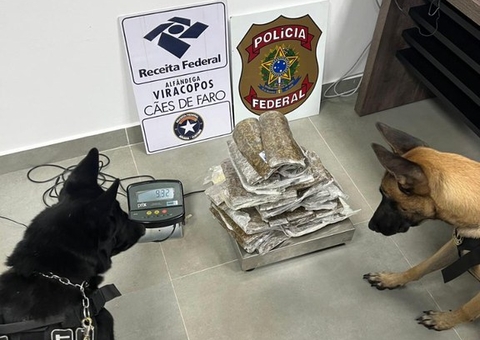 PF prende segundo passageiro que saiu de Manaus com drogas escondidas em cinta