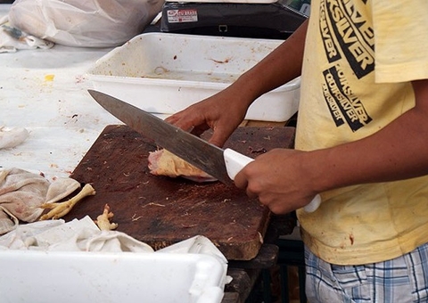 Trabalho infantil: menino que abatia aves deve receber indenização de empresa