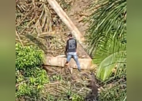 Homem é preso por derrubar árvores para invasão na Avenida das Torres