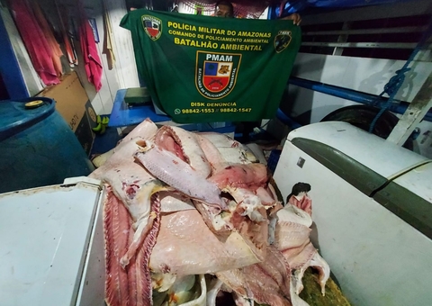 Polícia apreende 3 toneladas de pescado ilegal na orla de Manaus