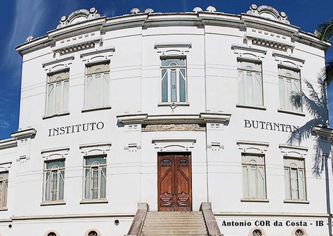 Butantan recebe autorização para iniciar testes de soro anticovid