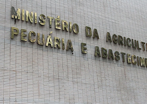 Casos de mal da vaca louca não são risco à produção bovina, diz OIE