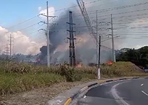 Incêndio destrói área de mata na Avenida das Torres em Manaus, veja vídeo