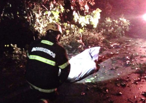 Motorista atingido por carreta na BR-174 foi esmagado e teve vísceras expostas