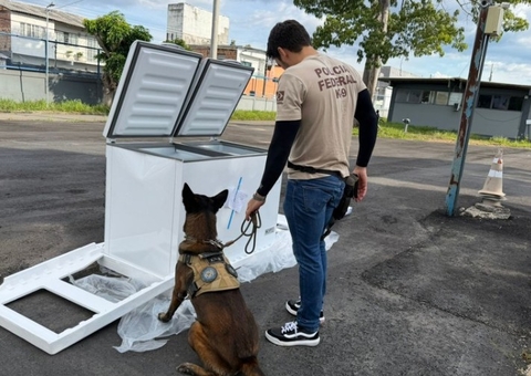 PF encontra 182 kg de maconha e armas escondidas em carga de eletrodomésticos em Manaus
