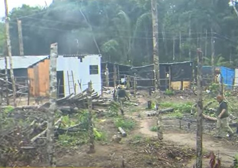 Operação retira mais de 300 barracos de área invadida na Reserva Adolpho Ducke em Manaus 