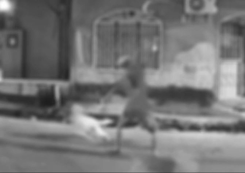 Câmeras flagraram homem cravando faca em cachorro no Mutirão