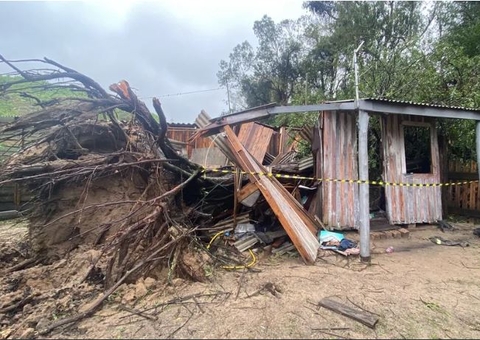 Idoso morre após árvore desabar sobre casa durante passagem de ciclone 