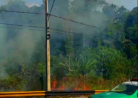 Vídeo: Área de mata na Avenida das Flores, em Manaus é atingida por incêndio