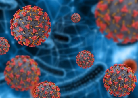 Países reforçam checagens sanitárias após surto do vírus Nipah na Índia